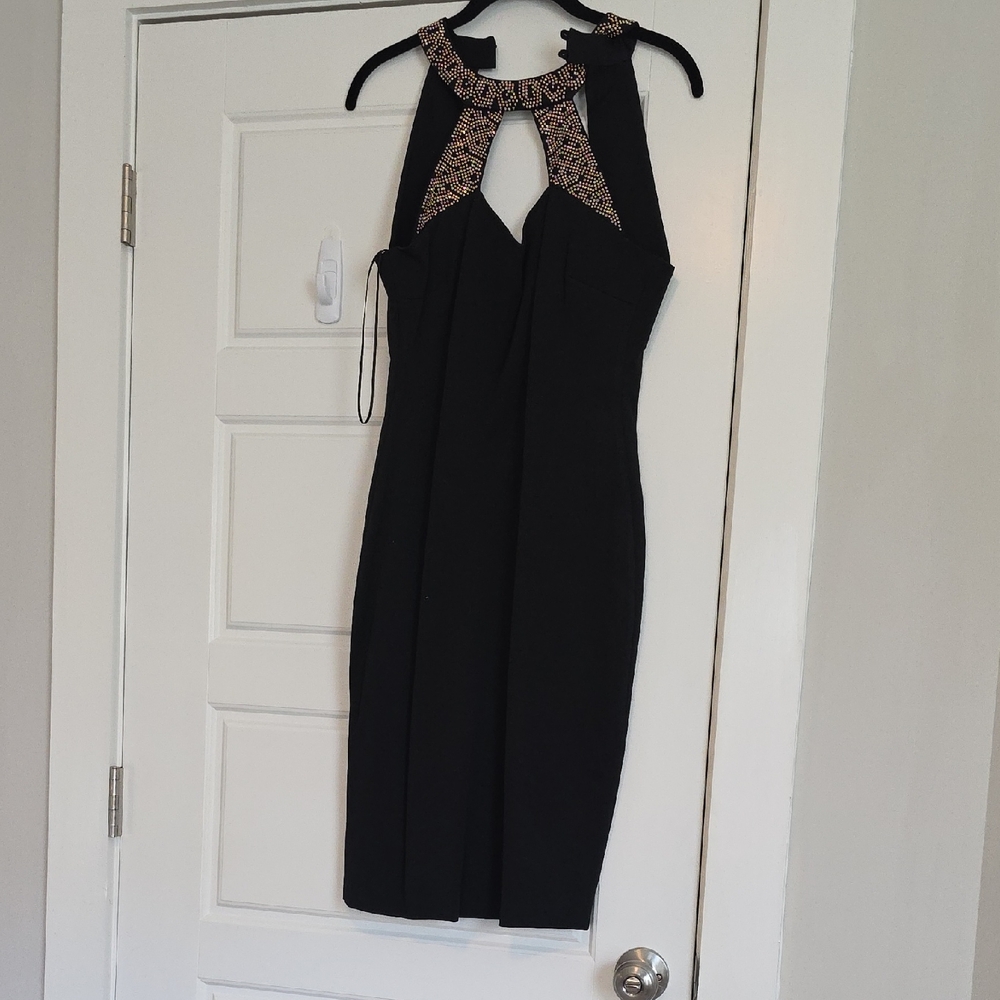 Cache Black Dress with Gold Accents